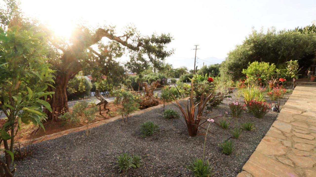 Apartamento Casa con VIsta - Private Garden Havania Exterior foto